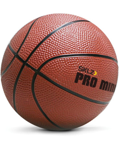 Портативне Баскетбольне Кільце SKLZ Pro Mini Indoor Basketball Hoop – Over The Door XL